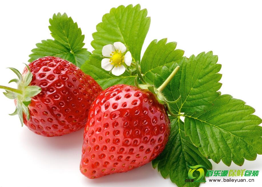 草莓種植方法