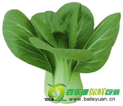 新鮮油菜買回家怎么保鮮？