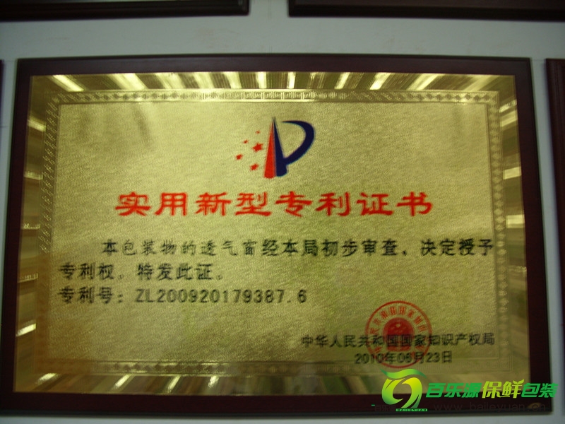 10年實(shí)用新型專利_副本.jpg