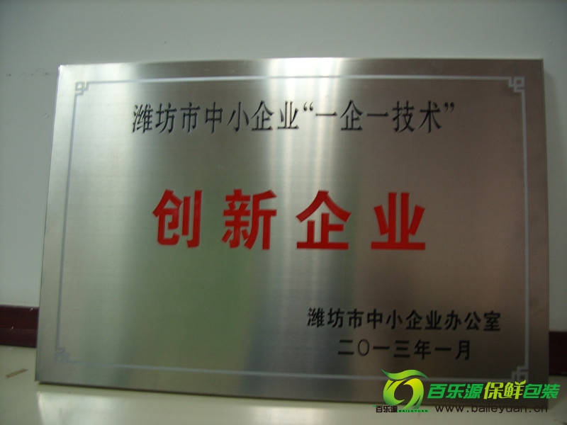 13年創(chuàng)新企業(yè)_副本.jpg